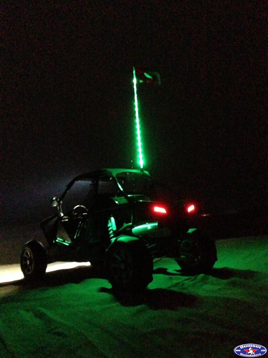 Monster Energy Green!  Wildcat 1000