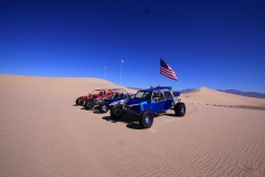 IMG 3329 (Large)