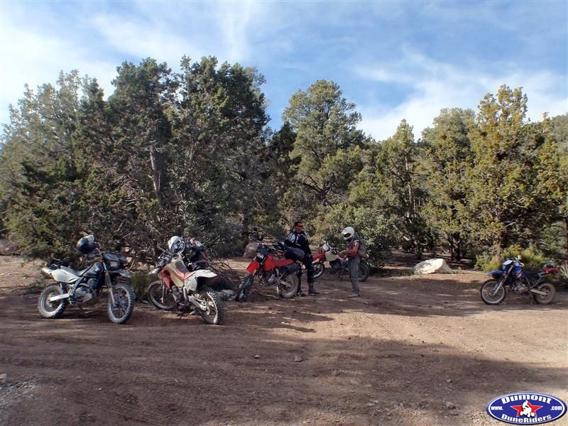 Dual Sport RIde 4-17-11