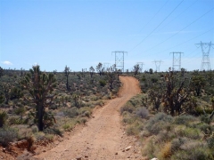 Trail towards Nipton, CA