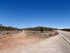 Where the trail hits the 164