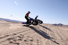 IMG 4768 (Large)