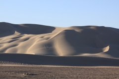 Sunday AM- cleaned up dunes!