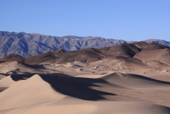 Sunday AM- cleaned up dunes!