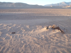 the dunes that formed in camp overnight after the crazy winds