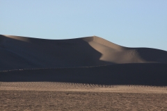 Sunday AM- cleaned up dunes!