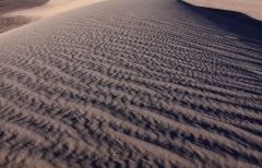 Sunday AM- cleaned up dunes!