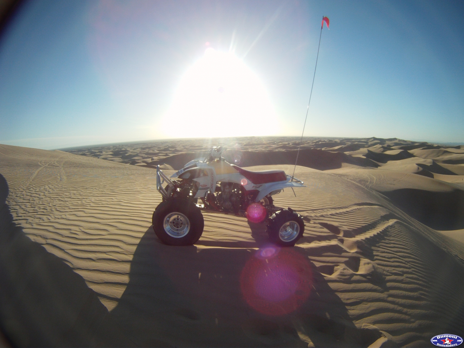 Sand Trips