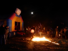 P1070567 (Medium).JPG