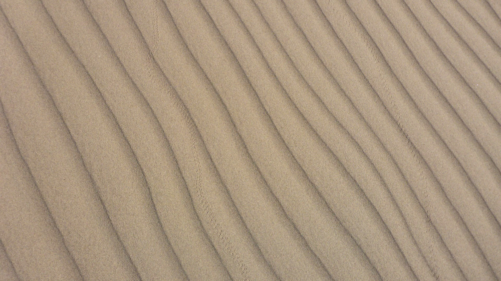 P1140112 (Large).JPG
