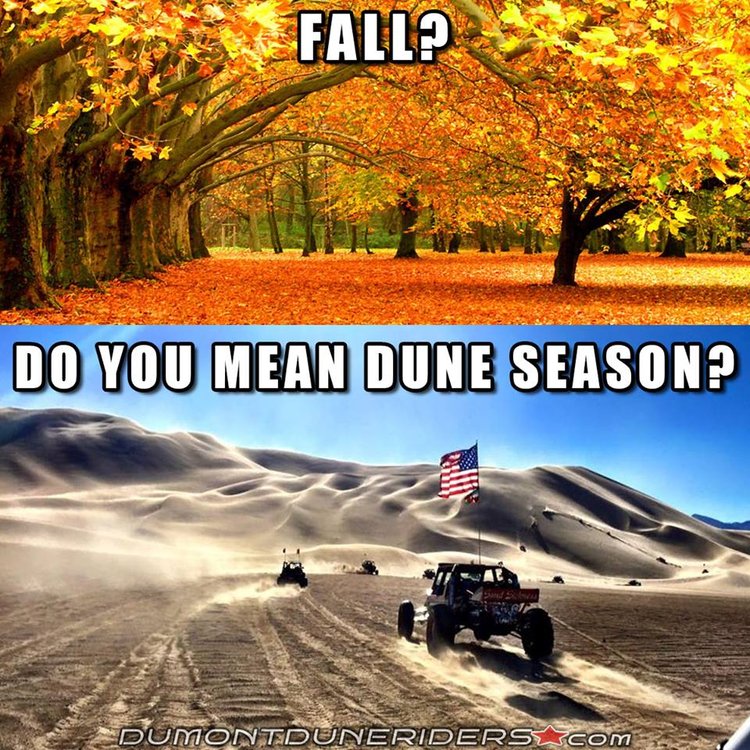 fall.jpg