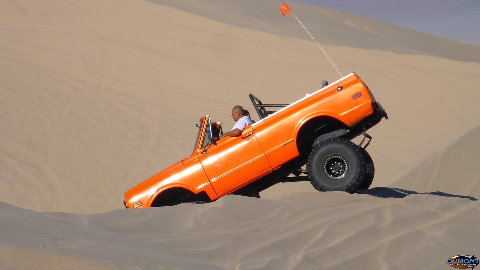 Orange Blazer playing the sand, Halloween 2017