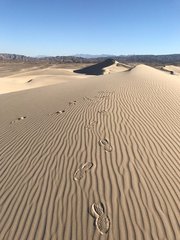 Dumont Dunes Sep 30 2017 (10).JPG