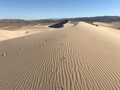 Dumont Dunes Sep 30 2017 (11).JPG