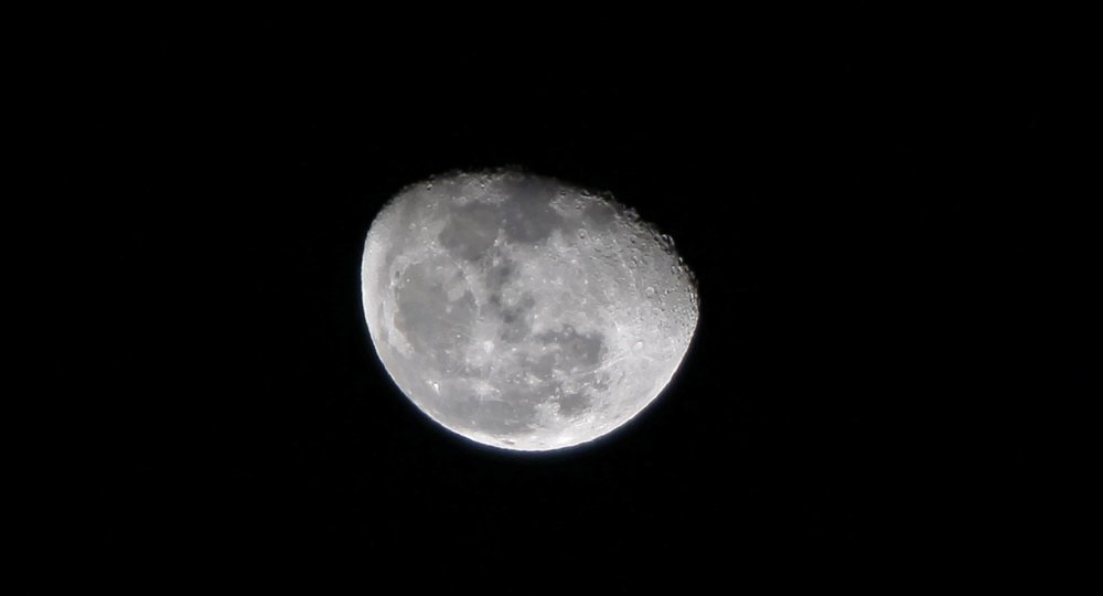 IMG_5405 (Large).JPG
