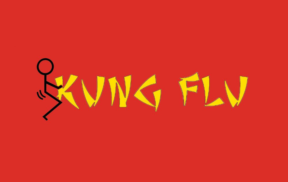 Kung-Flu-Flag-147k.jpg