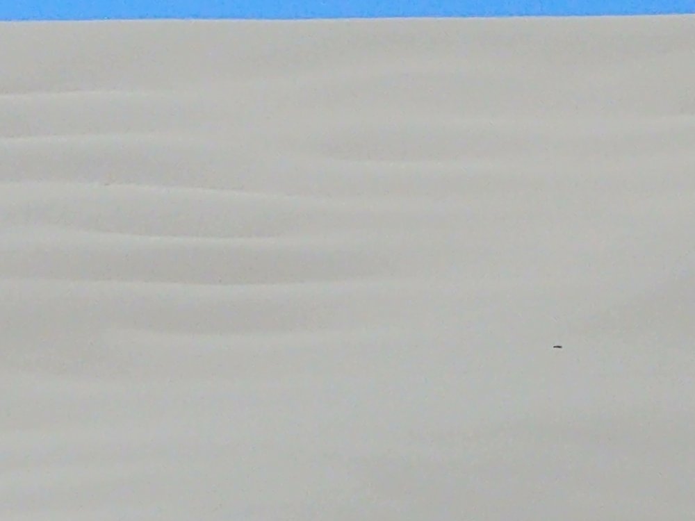 20200719_152853.jpg