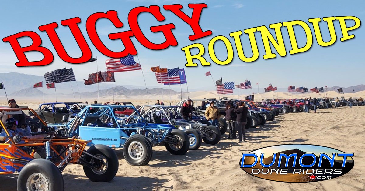 Buggy Roundup 10