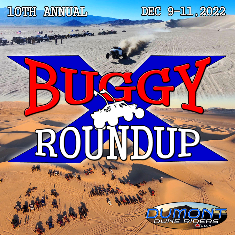 Buggy_Roundup_10_banner-IG.thumb.png.dd20ecf1ff2856dc2f92cc28f470f946.png