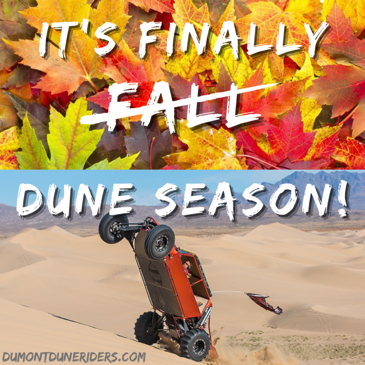 FALL (1).png