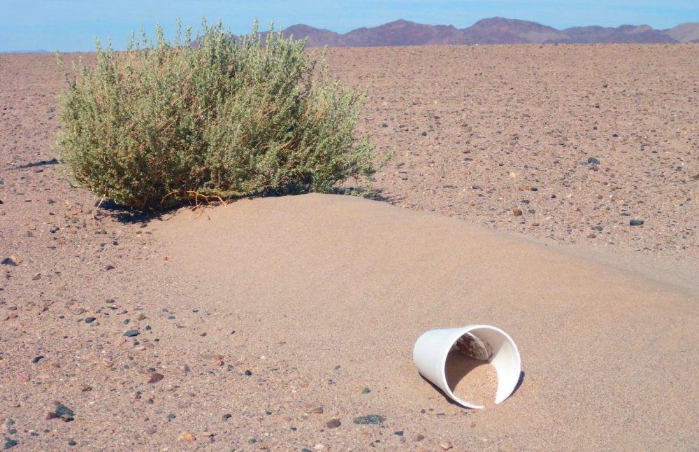 P1140160 (Large).JPG